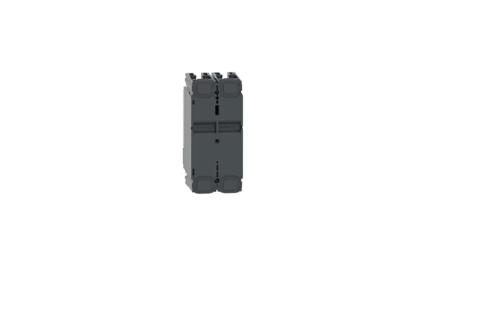 Interruptor Termomagnético ComPactT nueva generación NSX100F 16 A 2P TMD